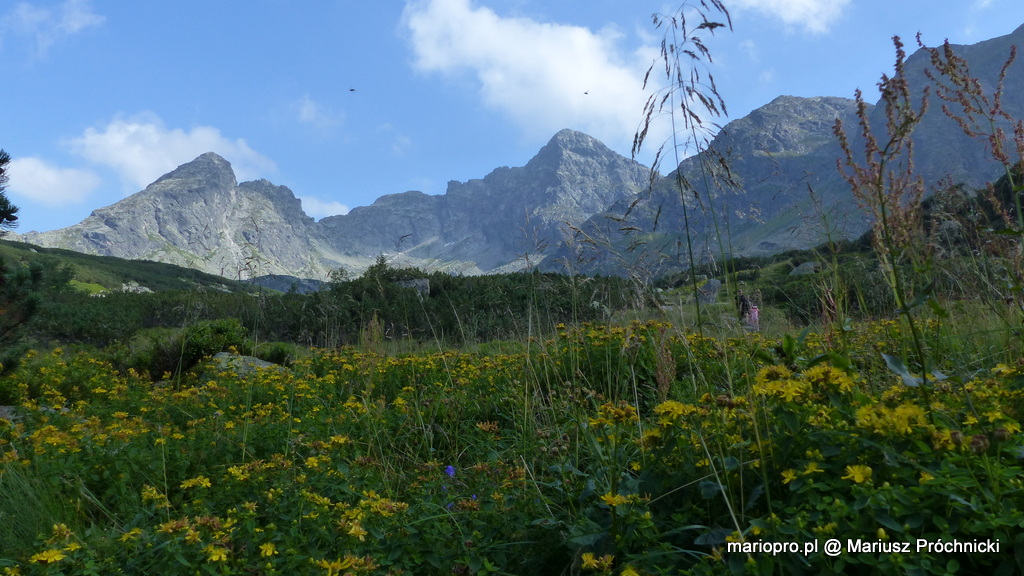 2019.08.12 - 103 Dolina Zielona Gasienicowa